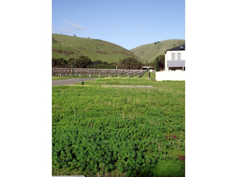 Lot 265 The Vines, Normanville SA 5204