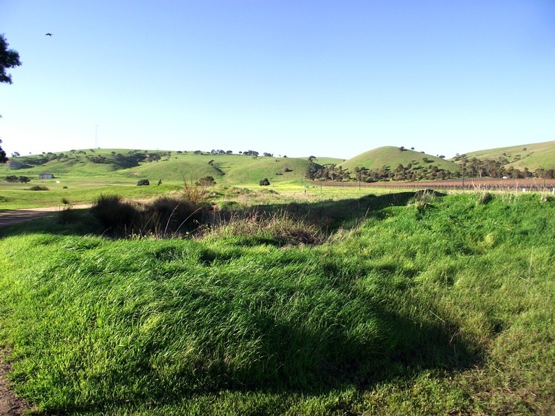 Lot 265 The Vines, Normanville SA 5204
