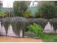 15 Merino Avenue, Carrickalinga SA 5204