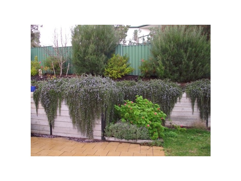 15 Merino Avenue, Carrickalinga SA 5204
