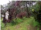 20 Forktree Road, Myponga SA 5202
