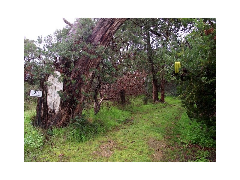 20 Forktree Road, Myponga SA 5202
