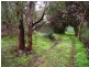 20 Forktree Road, Myponga SA 5202