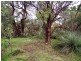 20 Forktree Road, Myponga SA 5202