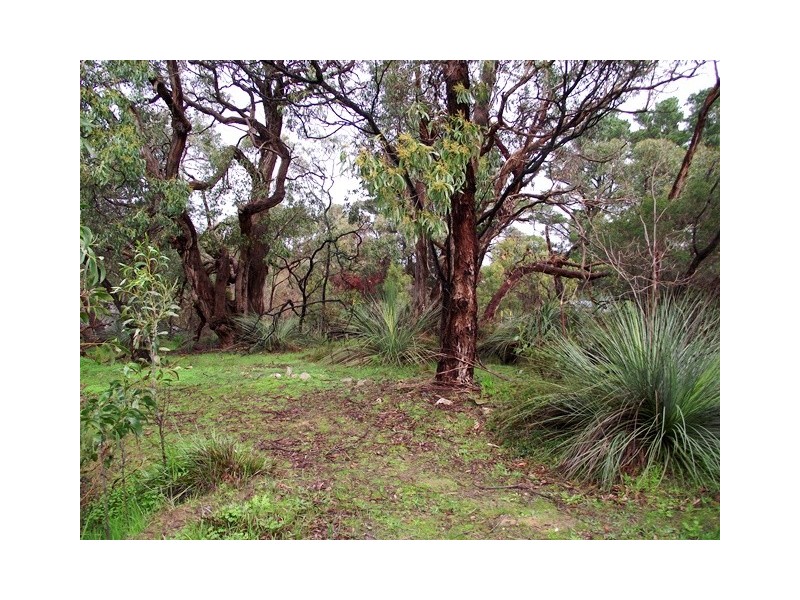 20 Forktree Road, Myponga SA 5202
