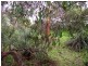 20 Forktree Road, Myponga SA 5202