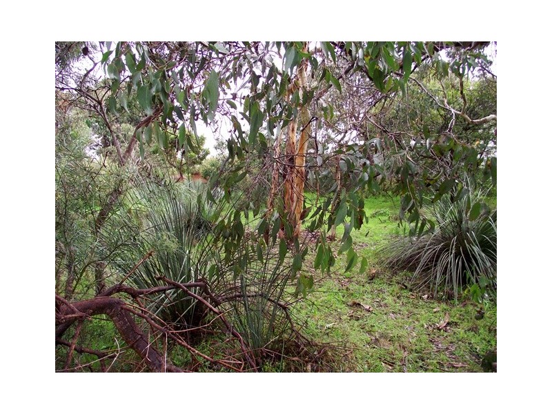 20 Forktree Road, Myponga SA 5202