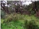 20 Forktree Road, Myponga SA 5202