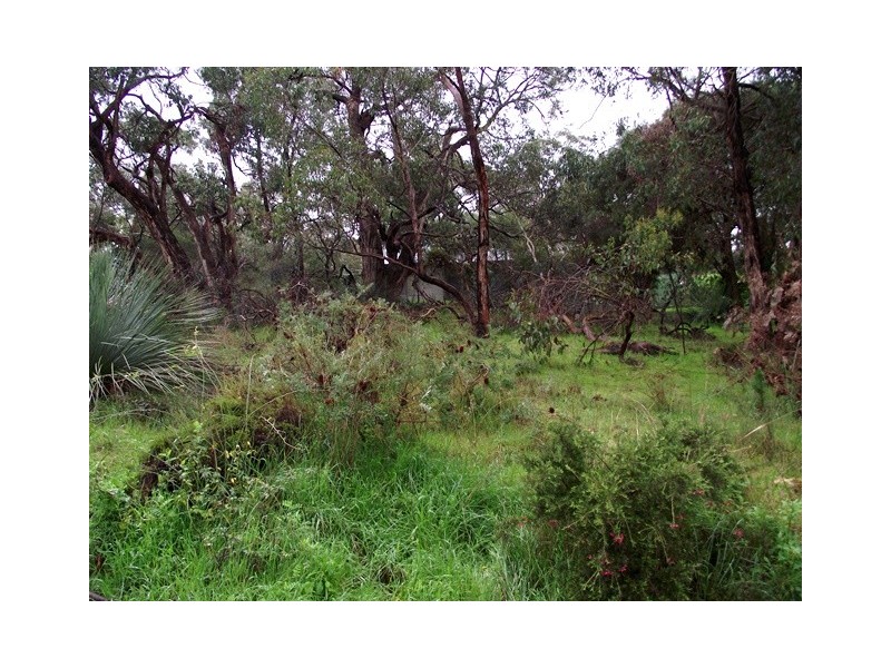 20 Forktree Road, Myponga SA 5202