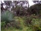 20 Forktree Road, Myponga SA 5202