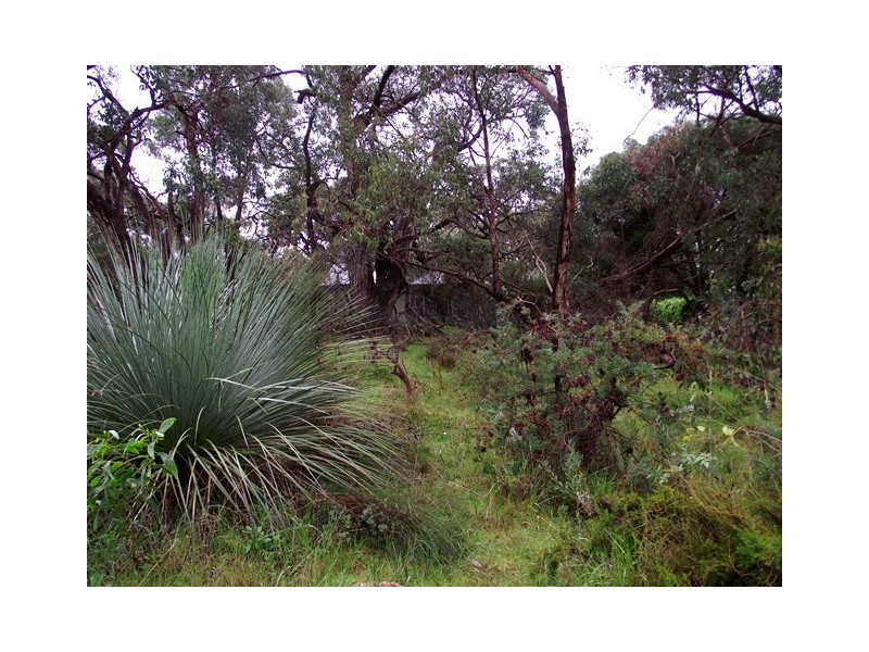 20 Forktree Road, Myponga SA 5202