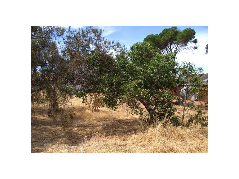 Lot 3, Lot 3 Starfish Court, Carrickalinga SA 5204