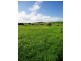 Lot 206, The Vines, Normanville SA 5204