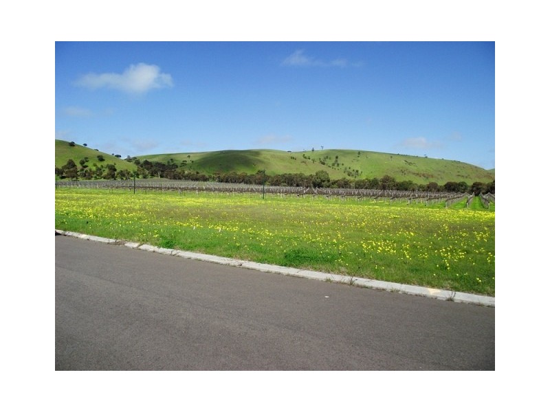Lot 206, The Vines, Normanville SA 5204