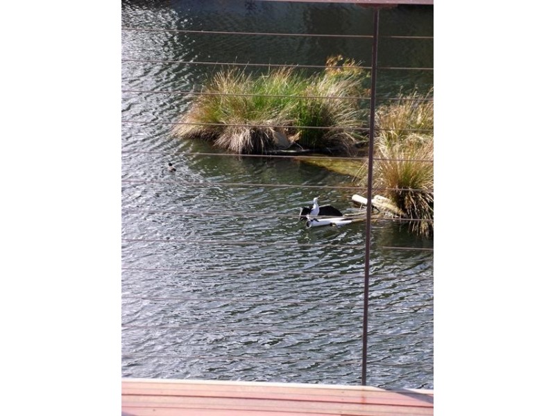 Villa 60/107 Main South Road, Normanville SA 5204