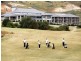Lot 67 Kingston Heath Court, Normanville SA 5204
