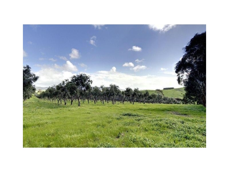 Lot 1, 130 Nosworthy Road, Torrens Vale SA 5203