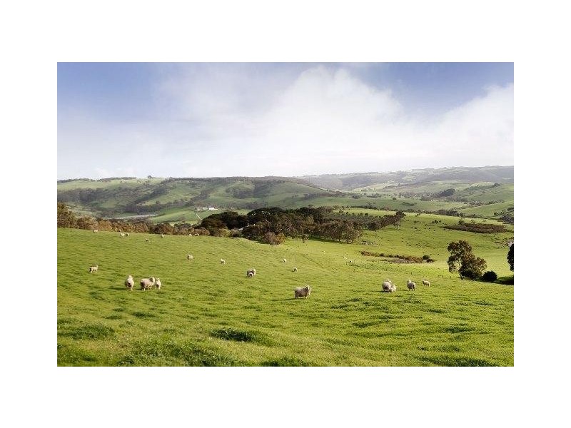 Lot 1, 130 Nosworthy Road, Torrens Vale SA 5203