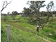Lot 1, 6 Will Road, Normanville SA 5204