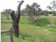 Lot 1, 6 Will Road, Normanville SA 5204