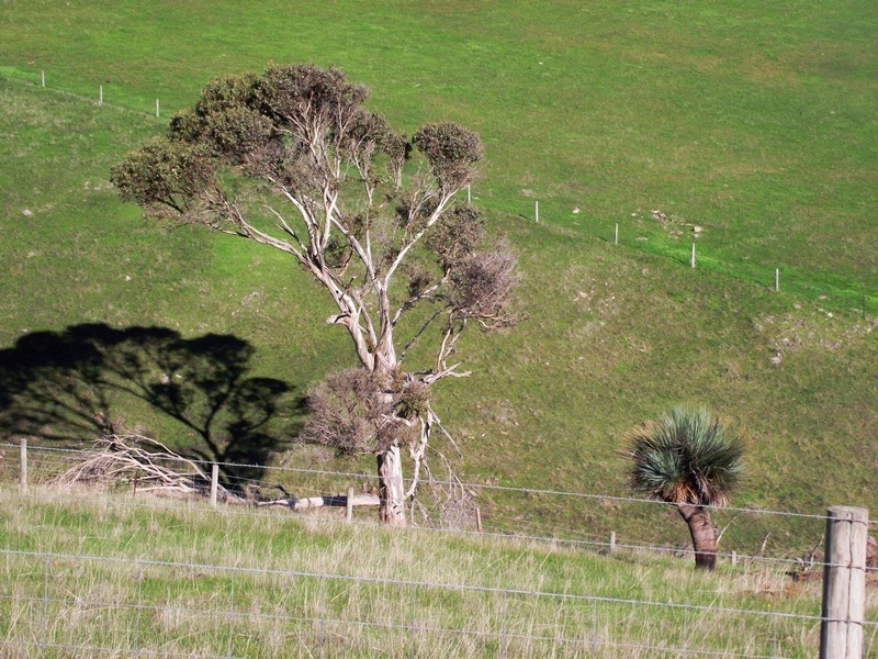 51 Bullaparinga Crescent, Delamere SA 5204