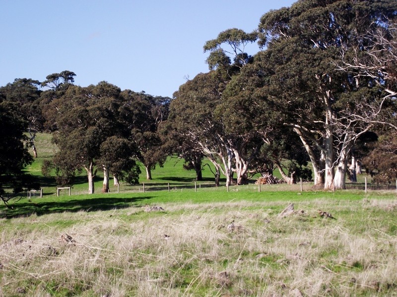 51 Bullaparinga Crescent, Delamere SA 5204