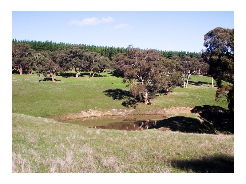 51 Bullaparinga Crescent, Delamere SA 5204