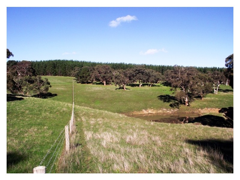 51 Bullaparinga Crescent, Delamere SA 5204