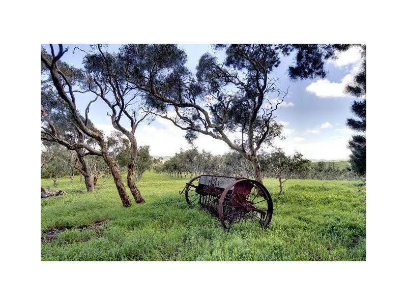Lot 1, 130 Nosworthy Road, Torrens Vale SA 5203
