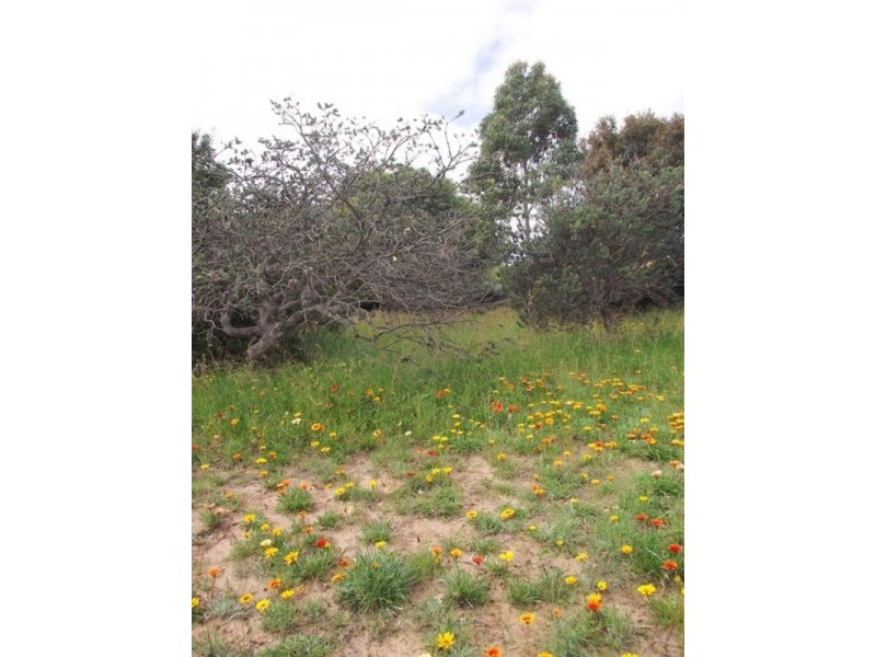 3/15 Edmund Street, Normanville SA 5204