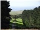 133 Cole Rd, Delamere SA 5204