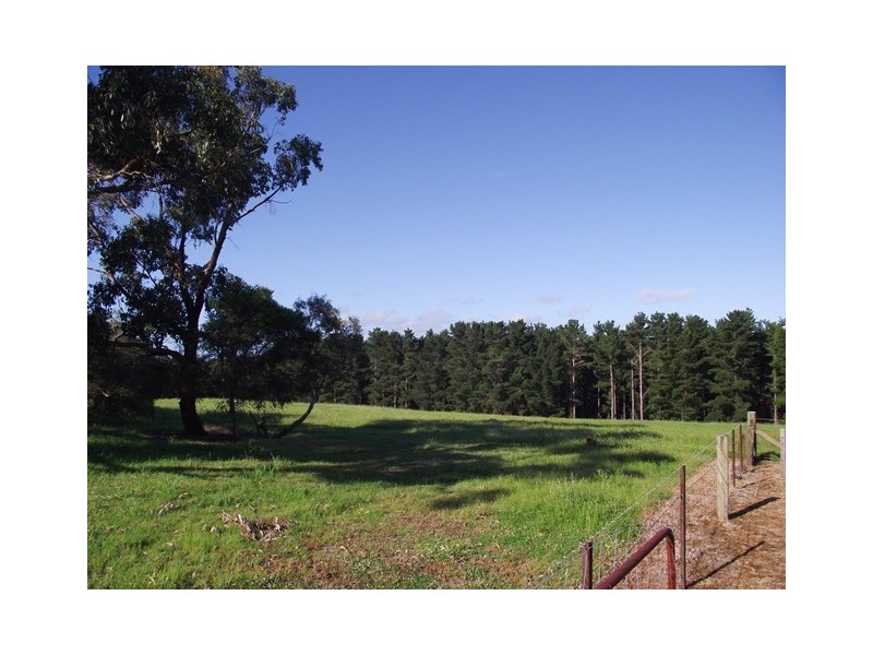 133 Cole Rd, Delamere SA 5204