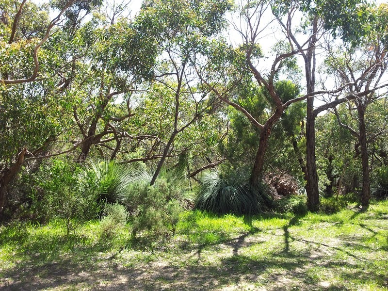 202 Blowhole Beach Road, Deep Creek SA 5204