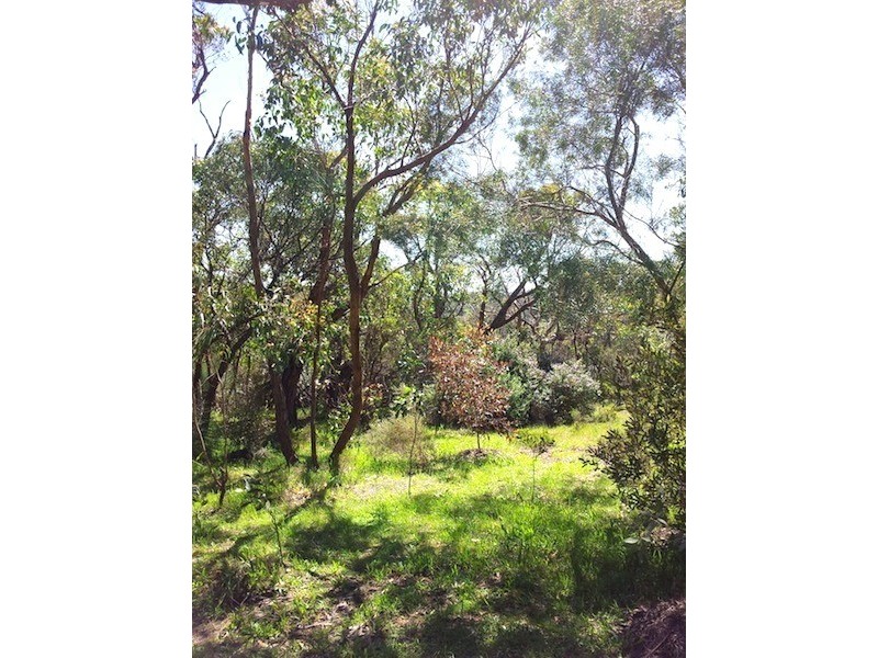 202 Blowhole Beach Road, Deep Creek SA 5204