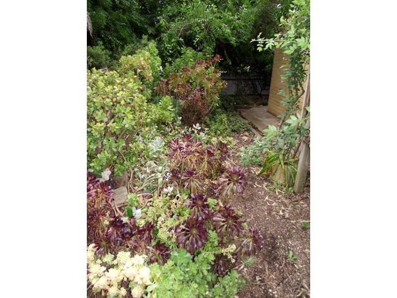 10 Thomas Street, Yankalilla SA 5203