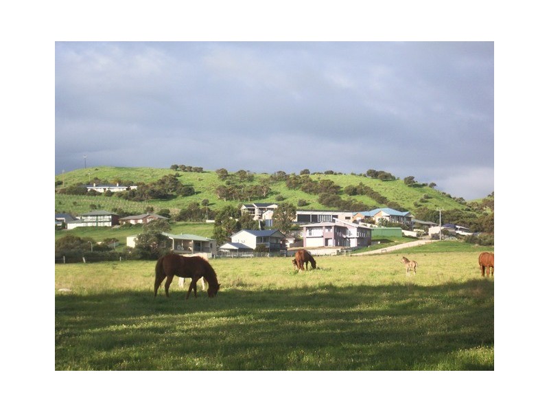 12 Carrickalinga Rd, Carrickalinga SA 5204