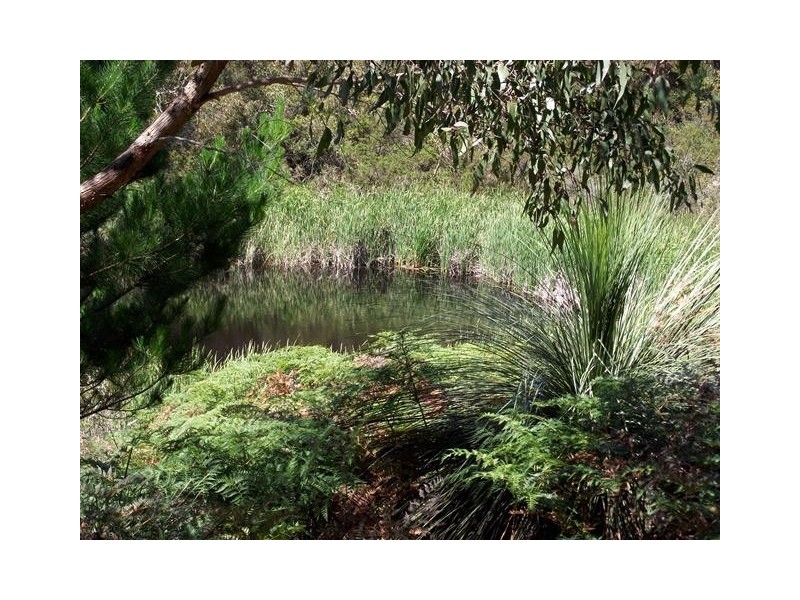 Lot 1, Lot 1 Tunk Head Road, Tunkalilla SA 5203