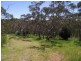 Lot 1, Lot 1 Tunk Head Road, Tunkalilla SA 5203