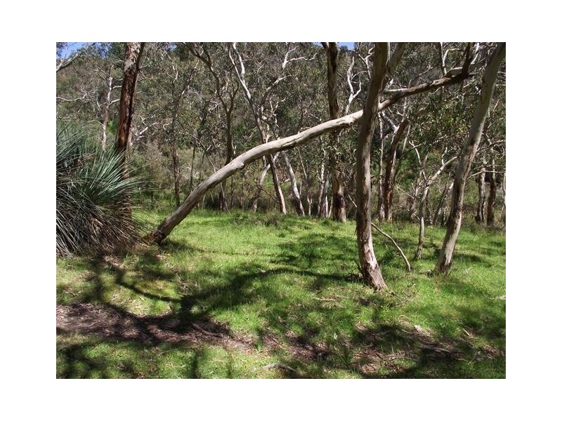 Lot 1, Lot 1 Tunk Head Road, Tunkalilla SA 5203