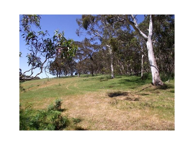 Lot 1, Lot 1 Tunk Head Road, Tunkalilla SA 5203
