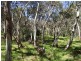 Lot 1, Lot 1 Tunk Head Road, Tunkalilla SA 5203