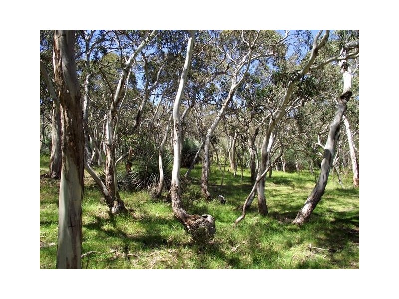 Lot 1, Lot 1 Tunk Head Road, Tunkalilla SA 5203