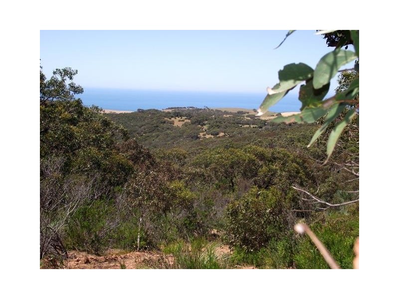 Lot 1, Lot 1 Tunk Head Road, Tunkalilla SA 5203