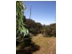 Lot 1, Lot 1 Tunk Head Road, Tunkalilla SA 5203