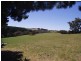 Lot 1, Lot 1 Tunk Head Road, Tunkalilla SA 5203