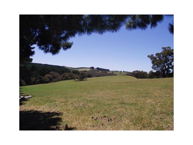 Lot 1, Lot 1 Tunk Head Road, Tunkalilla SA 5203