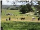 Lot 101 Blacker Road, Torrens Vale SA 5203