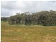Lot 101 Blacker Road, Torrens Vale SA 5203