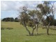 Pieces 52-55 Parawa Road, Torrens Vale SA 5203