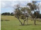 Pieces 52-55 Parawa Road, Torrens Vale SA 5203